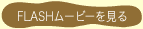 flashムービーを見る